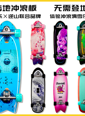 BRIM陆地冲浪板滑板台湾专业双弹簧桥陆冲模拟滑雪冲浪初学者逆山