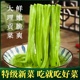 1斤特级云南贡菜干新鲜苔菜干货海底捞烫火锅专用脱水蔬菜凉拌菜
