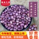云南金丝豆1000g 花豆子红花豆花芸豆农家自产食用豆类五谷杂粮