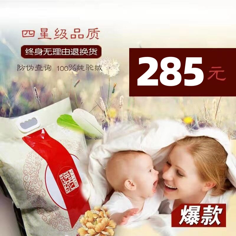 빗질된  달라이 4성 낙타털 충전재 이불 코어 통기성 및 습기 방지 학생 이불