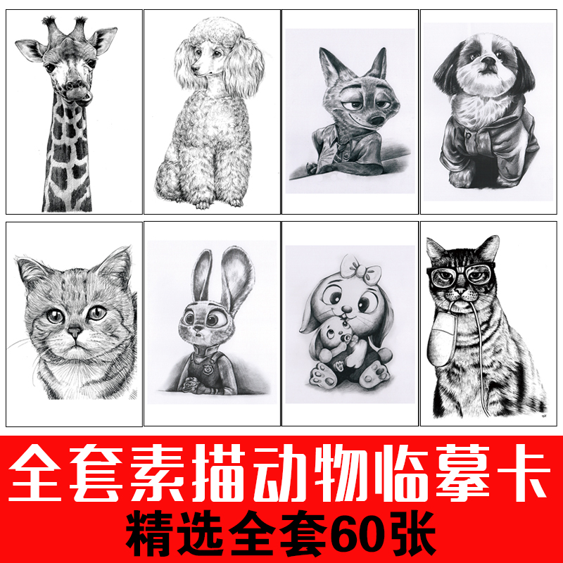 少儿创意美术素描几何石膏静物动物临摹卡片范画艺考课件图片