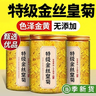 特级金丝皇菊大菊花特一朵一杯泡水养生花茶包火目无硫搭配枸杞