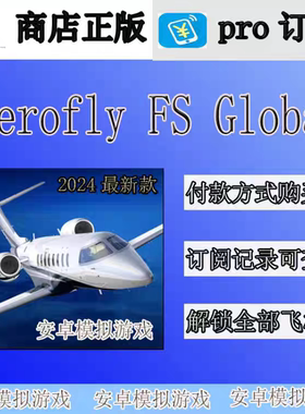aerofly fs 2024 Aerofly FS Global AF2024全球高清地图 飞机