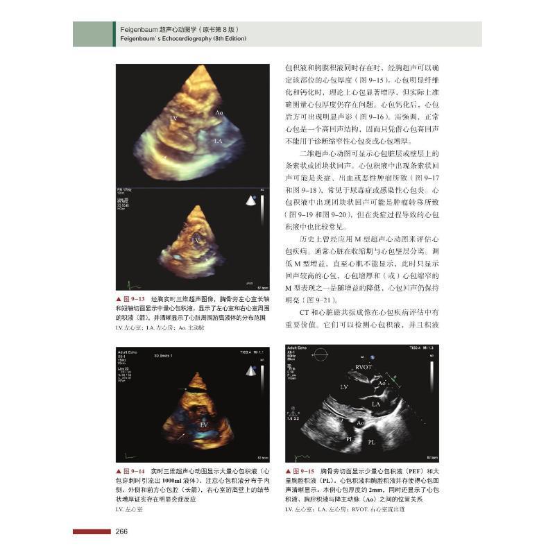 feigenbaum超声心动图学  医药卫生书籍