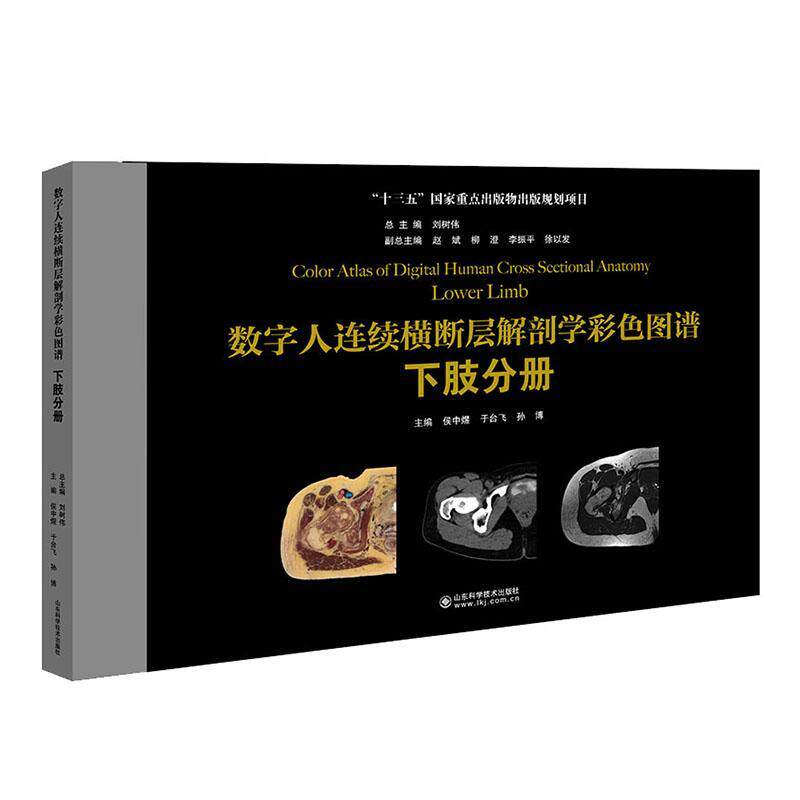 数字人连续横断层解剖学彩色图谱:下肢分册:Lower limb刘树普通大众下肢计算机线扫描体层摄影断面解自由组套书籍