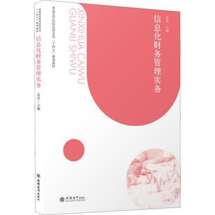 信息化财务管理实务高菲  管理书籍
