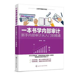 一本书学内部审计 曹艳铭 书店 各类审计书籍 包邮 新手内部审计从入门到精通 正版