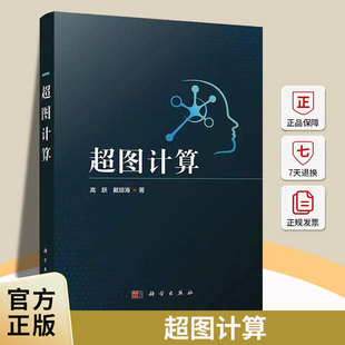 超图计算高跃科学出版社9787030816337 管理书籍
