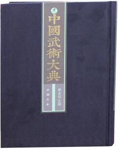 体育书籍 中国武术大典释永信