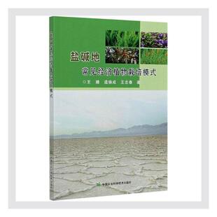 盐碱地常见经济植物栽培模式 书婧 9787511646774 农业、林业 书籍