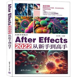 计算机与网络书籍 2022从新手到高手刘红梅 AFTER EFFECTS