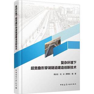 复杂环境下超宽叠形穿湖隧道建造创新技术高永吉刘冰薛青松中国建筑工业出版 建筑书籍 社9787112309054