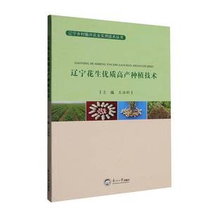 辽宁花生高产种植技术王海新东北大学出版社9787551737708 农业、林业书籍