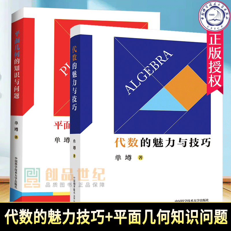 中科大初中数学代数的魅力与技巧+平面几何的知识与问题 单墫 初一初二初三初中数学解题规律方法与技巧789年级2021中考数学必刷题