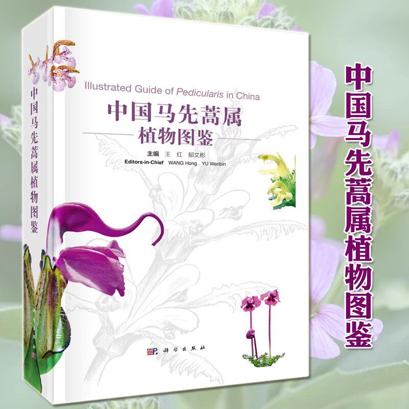 中国马先蒿属植物图鉴 主编王红郁文彬 关于植物的书科普读物植物生物学自然科学植物学图书籍科学出版社正版书籍