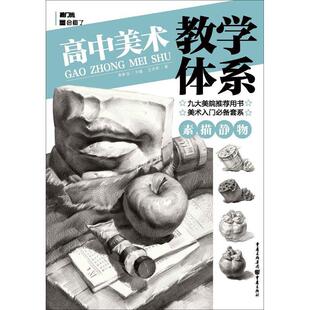 高中美术教学体系.素描静物王志彬艺考读者美术初学者 艺术书籍