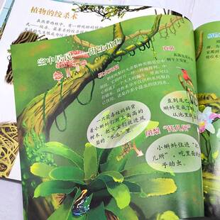 雨林，生机盎然哟童心绘化学工业出版社9787122456243 农业、林业书籍