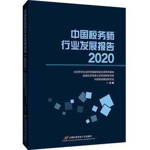 中国税务师行业发展报告 北京哲学社会科学国家税收法律研普通大众税收管理研究报告中国经济书籍 2020