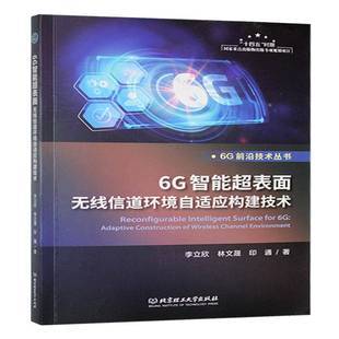 6G智能超表面无线信道环境自适应构建技术李立欣北京理工大学出版 工业技术书籍 社有限责任公司9787576346060