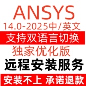 2022fluent中文版 Ansys2024R1R2 2023软件远程安装 workbench19.0