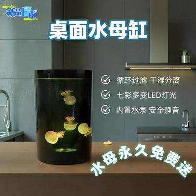 桌面小型圆形专业观赏水母缸包活