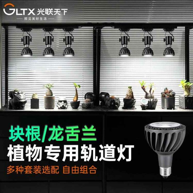 光联天下植物补光灯led轨道射灯全光谱龙舌兰块根仙人球生长灯30W图片
