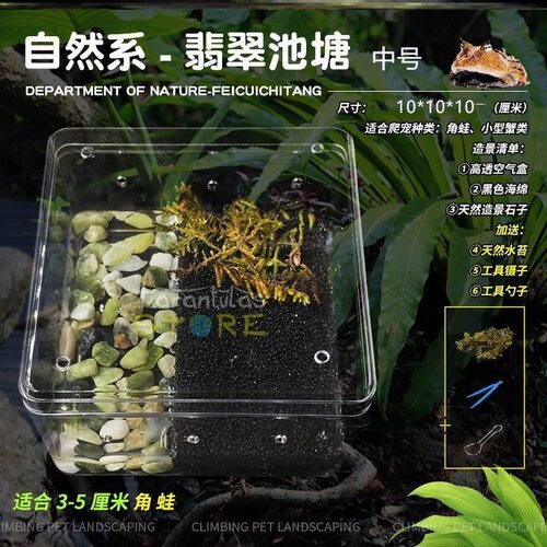 角蛙树蛙宠物饲养箱龟缸寄居蟹螃蟹饲养盒乌龟盒透明缸防逃逸套餐