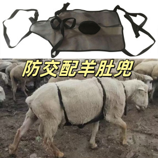 新款羊肚兜透气防公羊爬母羊肚兜草原种羊防交配肚兜裹兜羊马牛用