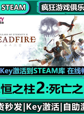 Steam正版永恒之柱2:死亡之火 激活码CDKey入库全DLC角色扮演游戏