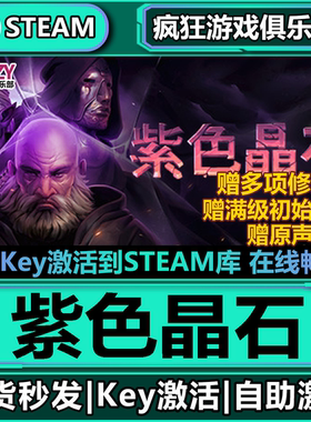Steam正版紫色晶石 激活码CDKey入库Stoneshard全DLC角色扮演游戏