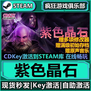 Steam正版紫色晶石 激活码CDKey入库Stoneshard全DLC角色扮演游戏