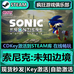 Steam正版索尼克未知边境 激活码CDKey入库Sonic Frontiers 全DLC