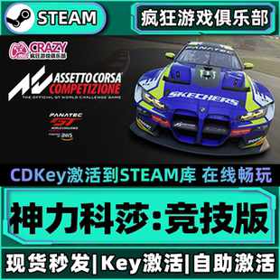 Steam正版神力科莎:竞技版激活码CDKey入库全DLC汽车模拟竞速游戏