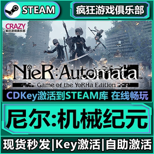 Steam正版尼尔:机械纪元 激活码CDKey入库NieR:Automata全DLC游戏