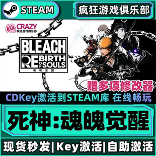 Steam正版死神:魂魄觉醒全DLC激活码入库BLEACH Rebirth of Souls