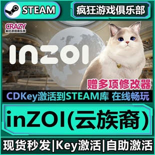 CDKey入库全球国区韩国财阀模拟器 云族裔激活码 Steam正版 inZOI