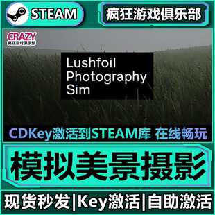 Steam正版模拟美景摄影激活码CDKey入库Lushfoil Photography Sim