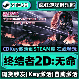 CDKey入库 激活码 Terminator FATE Steam正版 终结者2D无命