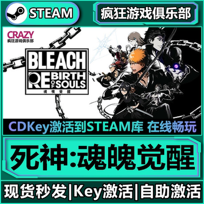 Steam正版死神魂魄觉醒全DLC