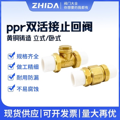 志大PPR止回阀全铜加厚