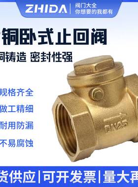 卧式止回阀 全铜单向阀 逆止阀 止回阀 4分6分1寸 DN50 65 80 100