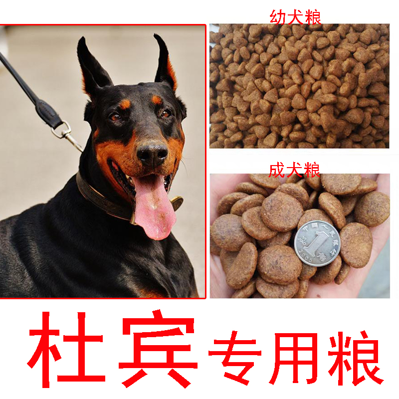 杜宾专用狗粮20kg40斤补钙犬粮