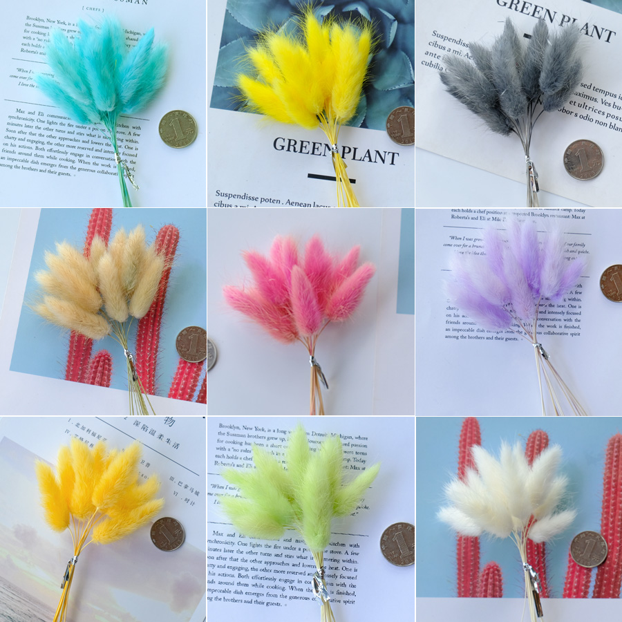 彩色兔尾草贺卡信封点缀玻璃罩