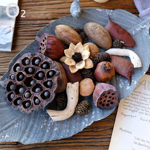 混装干果天然树叶植物标本diy