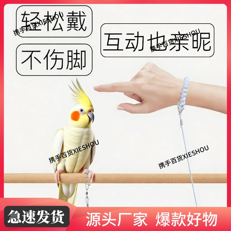 背带放飞绳牡丹鹦鹉牵引绳训练飞行户外外出遛鸟神器超轻专用