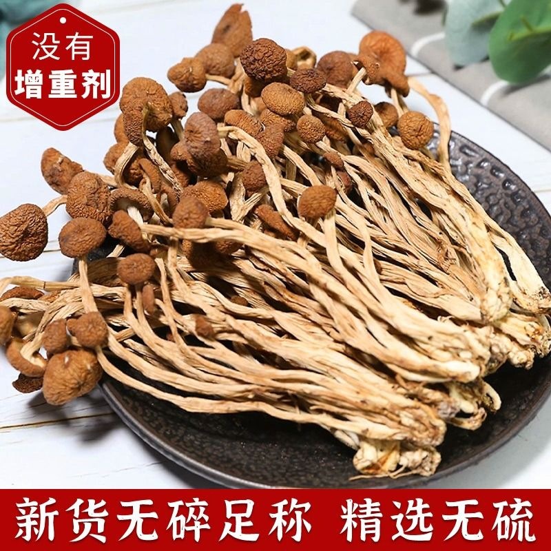 云南特产野生茶树菇菌菇干货袋装自选煲汤树菇一件代发靓汤不开伞