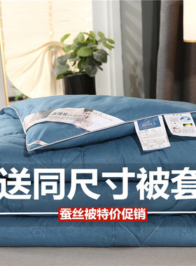 桐乡全棉蚕丝被100%桑蚕丝8斤冬被加厚保暖6斤春秋被子单双人被芯