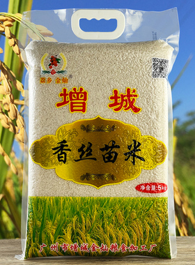 广州增城特产25年晚糙金灿香丝苗米南方籼米一级大米细长粒煲仔饭