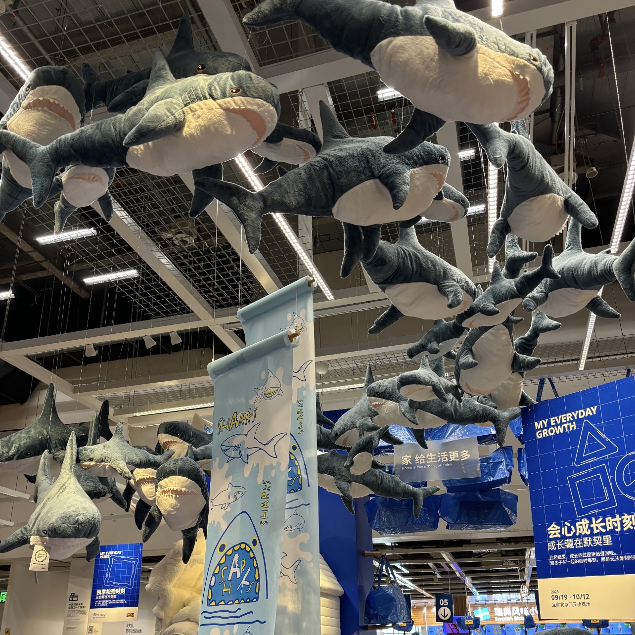 网红正品啊呜大鲨鱼毛绒公仔安抚玩具抱枕玩偶情人节送女生日礼物