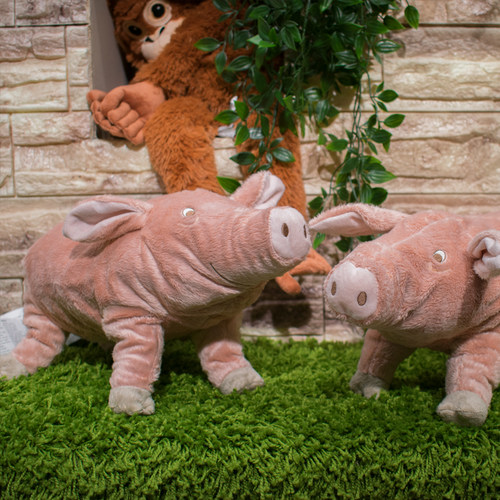 yj家科诺利大猪猪玩偶